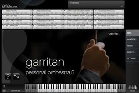 Garritan Personal Orchestra 5 (incl. fees)